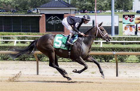 mountaineer park horse race results.